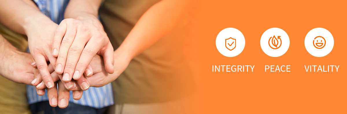 凯时KB88·(中国区)官方网站